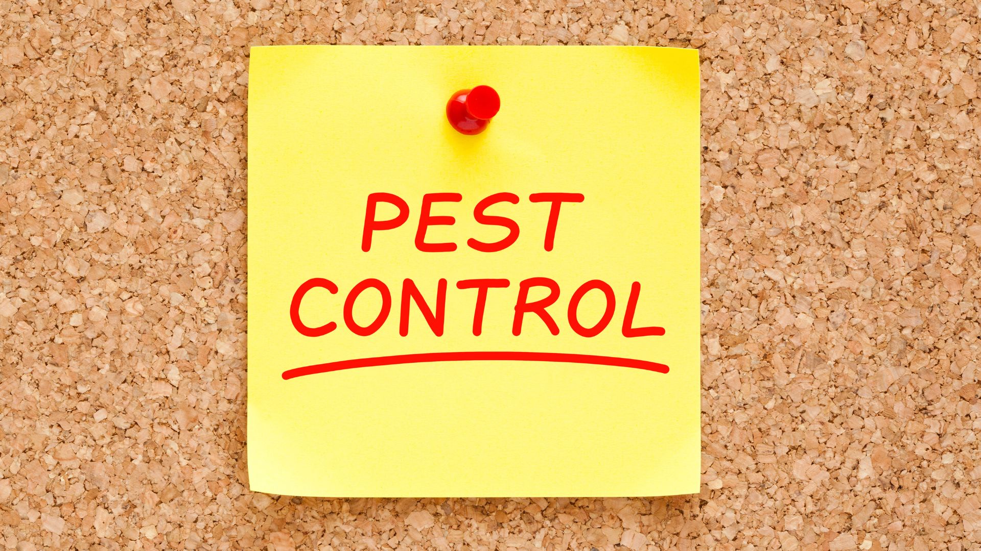 Navigating Off-Page SEO For Pest Control