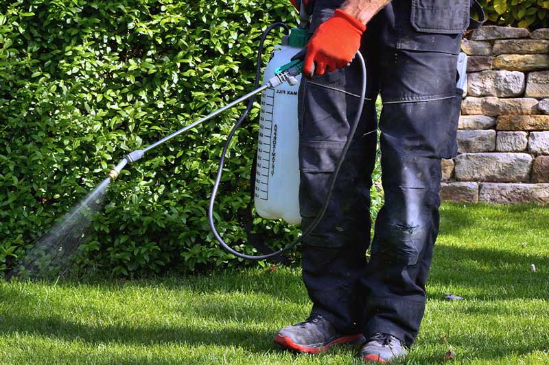 Ongoing pest control treatment service
